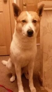 468842643 10162449672677442 3946696669608077112 n 10152118447492442