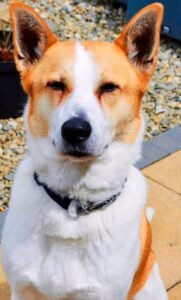 469092834 10162511700992442 1826153377176750114 n 10153753188502442