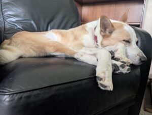 photo 2025 10 22 21 09 30