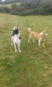 whatsapp image 2025 11 02 at 14.46.11