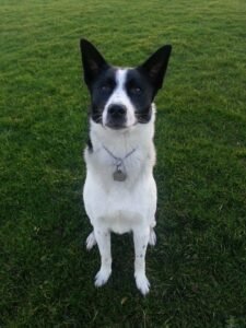 472234389 10163047723186742 332937673552905780 n