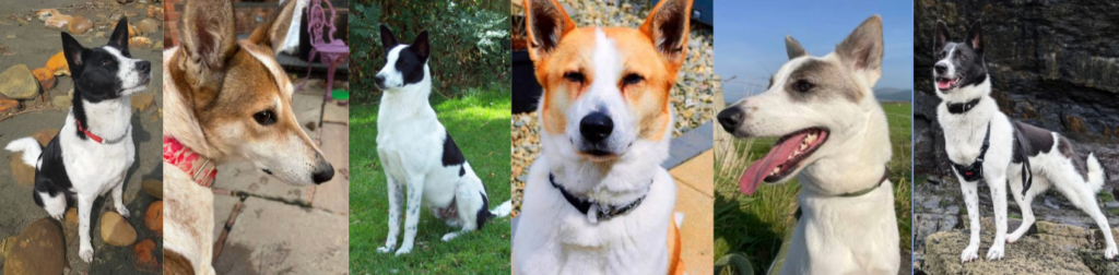 screenshot 2026 02 23 14.51.15